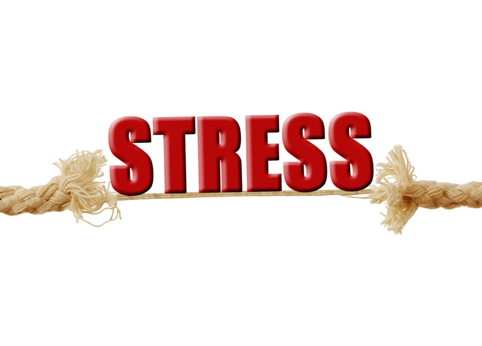 Le STRESS : c’est quoi exactement ?