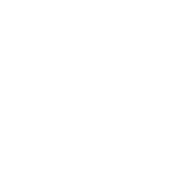 Molti - Learners Icon